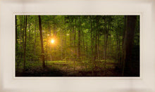 Load image into Gallery viewer, Suddenly A Light Descended
