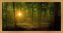Load image into Gallery viewer, Suddenly A Light Descended
