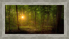Load image into Gallery viewer, Suddenly A Light Descended
