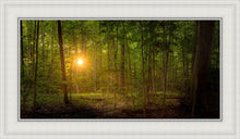 Load image into Gallery viewer, Suddenly A Light Descended
