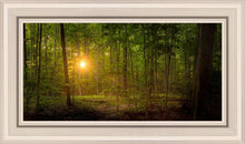 Load image into Gallery viewer, Suddenly A Light Descended
