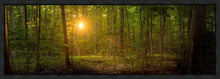 Load image into Gallery viewer, Suddenly A Light Descended

