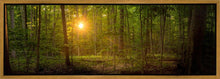 Load image into Gallery viewer, Suddenly A Light Descended
