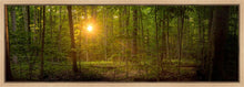 Load image into Gallery viewer, Suddenly A Light Descended
