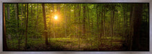 Load image into Gallery viewer, Suddenly A Light Descended
