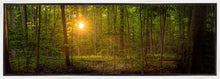 Load image into Gallery viewer, Suddenly A Light Descended
