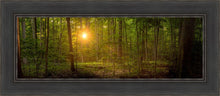 Load image into Gallery viewer, Suddenly A Light Descended
