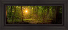 Load image into Gallery viewer, Suddenly A Light Descended
