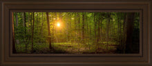 Load image into Gallery viewer, Suddenly A Light Descended
