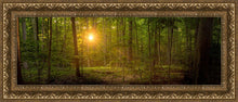 Load image into Gallery viewer, Suddenly A Light Descended

