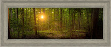 Load image into Gallery viewer, Suddenly A Light Descended

