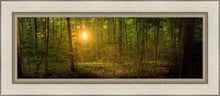 Load image into Gallery viewer, Suddenly A Light Descended
