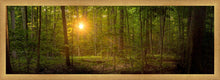 Load image into Gallery viewer, Suddenly A Light Descended
