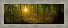 Load image into Gallery viewer, Suddenly A Light Descended
