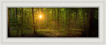 Load image into Gallery viewer, Suddenly A Light Descended
