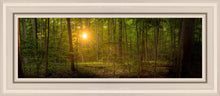 Load image into Gallery viewer, Suddenly A Light Descended
