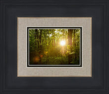 Load image into Gallery viewer, The Morning Breaks
