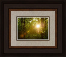 Load image into Gallery viewer, The Morning Breaks
