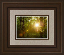 Load image into Gallery viewer, The Morning Breaks
