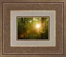 Load image into Gallery viewer, The Morning Breaks
