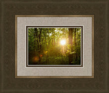 Load image into Gallery viewer, The Morning Breaks
