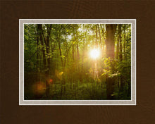 Load image into Gallery viewer, The Morning Breaks
