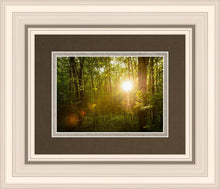 Load image into Gallery viewer, The Morning Breaks
