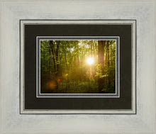 Load image into Gallery viewer, The Morning Breaks
