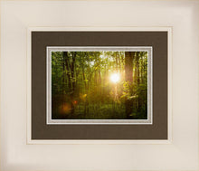 Load image into Gallery viewer, The Morning Breaks
