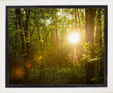 Load image into Gallery viewer, The Morning Breaks
