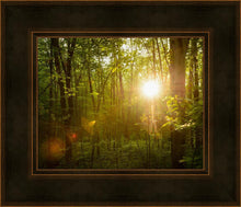 Load image into Gallery viewer, The Morning Breaks
