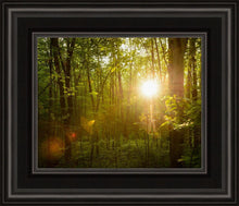 Load image into Gallery viewer, The Morning Breaks
