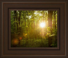 Load image into Gallery viewer, The Morning Breaks
