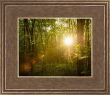 Load image into Gallery viewer, The Morning Breaks

