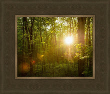 Load image into Gallery viewer, The Morning Breaks
