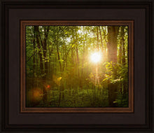 Load image into Gallery viewer, The Morning Breaks
