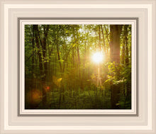 Load image into Gallery viewer, The Morning Breaks
