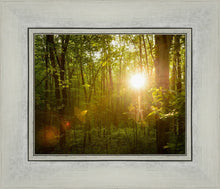 Load image into Gallery viewer, The Morning Breaks
