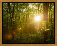 Load image into Gallery viewer, The Morning Breaks
