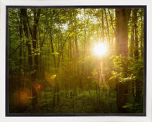 Load image into Gallery viewer, The Morning Breaks
