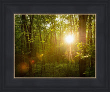 Load image into Gallery viewer, The Morning Breaks
