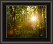 Load image into Gallery viewer, The Morning Breaks
