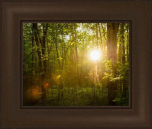Load image into Gallery viewer, The Morning Breaks
