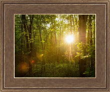 Load image into Gallery viewer, The Morning Breaks
