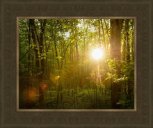 Load image into Gallery viewer, The Morning Breaks

