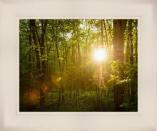 Load image into Gallery viewer, The Morning Breaks
