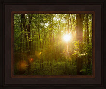 Load image into Gallery viewer, The Morning Breaks
