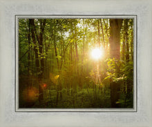 Load image into Gallery viewer, The Morning Breaks
