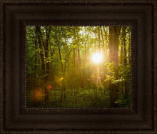Load image into Gallery viewer, The Morning Breaks
