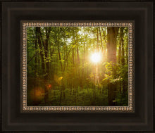 Load image into Gallery viewer, The Morning Breaks
